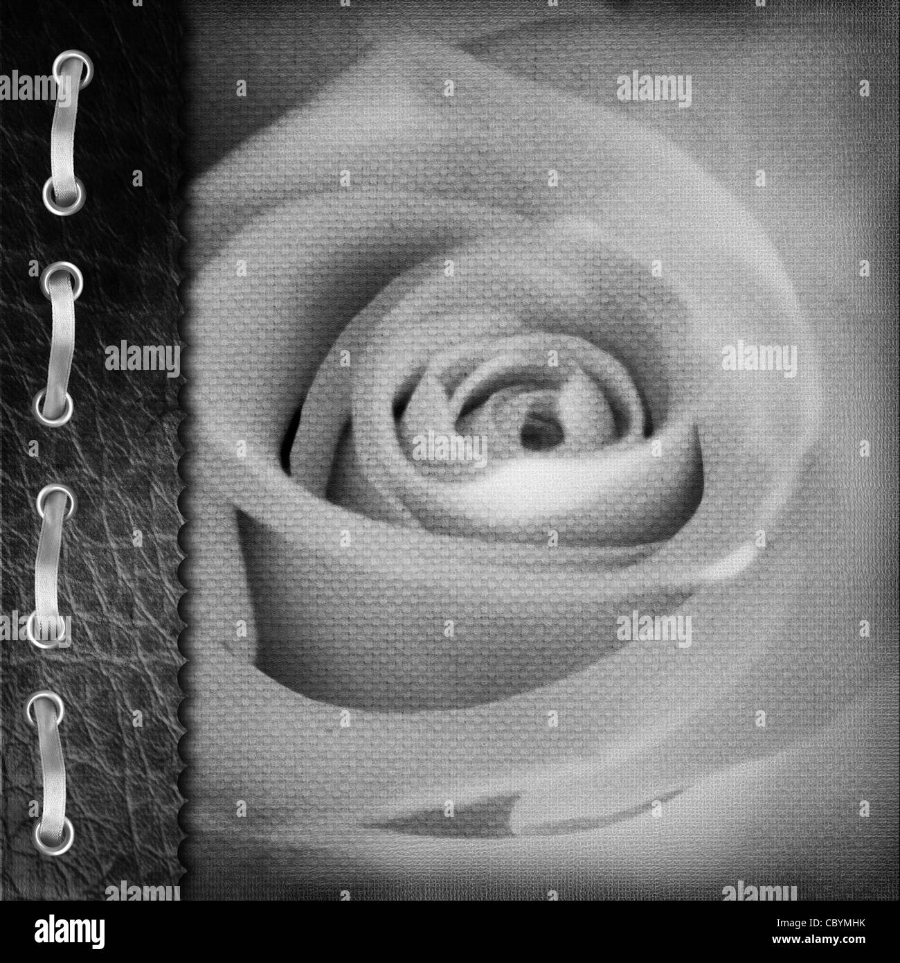 Brown couverture pour un album de photos Banque D'Images