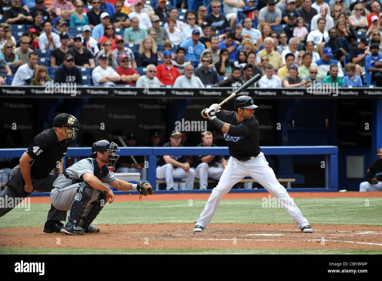 AL régnant home run king Jose Bautista des Blue Jays de Toronto à la batte au Rogers Centre le 28 août 2011 à Toronto Banque D'Images
