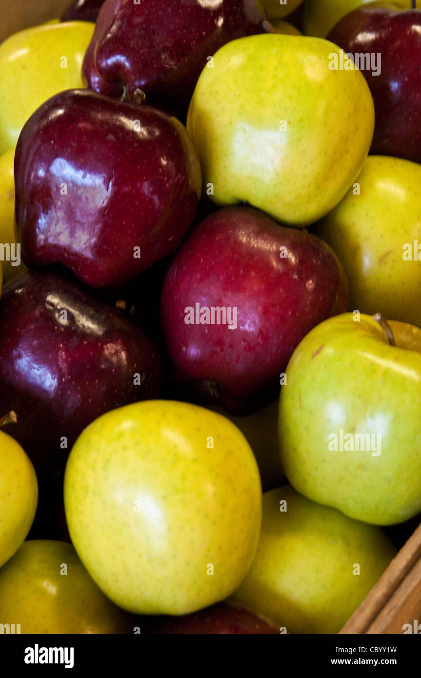 Close up, automne, Halloween, citrouilles, frais, fruits de saison, Banque D'Images