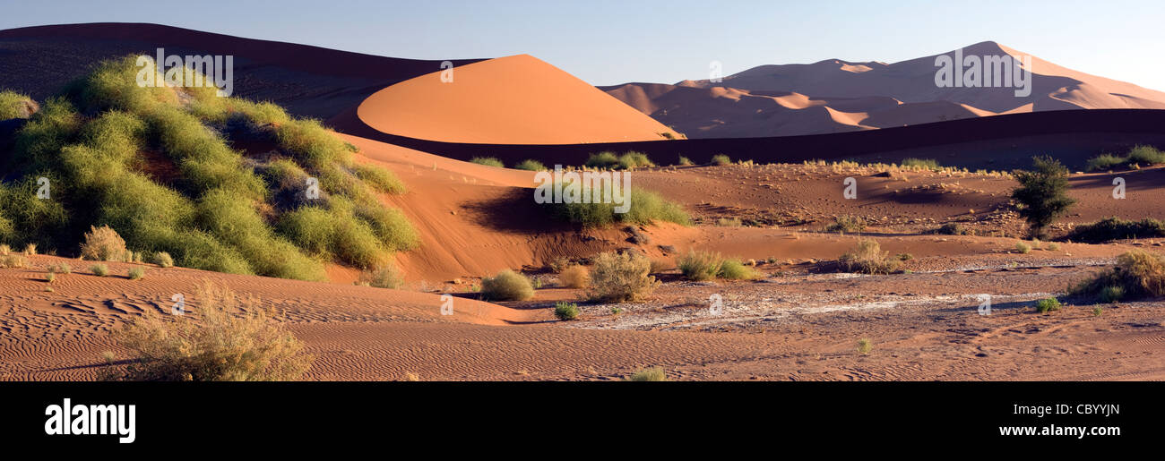 Panorama dune Image Composite - Sossusvlei - Parc national du Namib-Naukluft National Park, Namibie, Afrique Banque D'Images