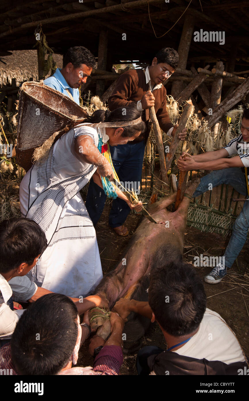 L'Inde, de l'Arunachal Pradesh, le long village, Kombo, Hurin Harvest Festival, sacrifice rituel de porc avec jeu de bambou Banque D'Images