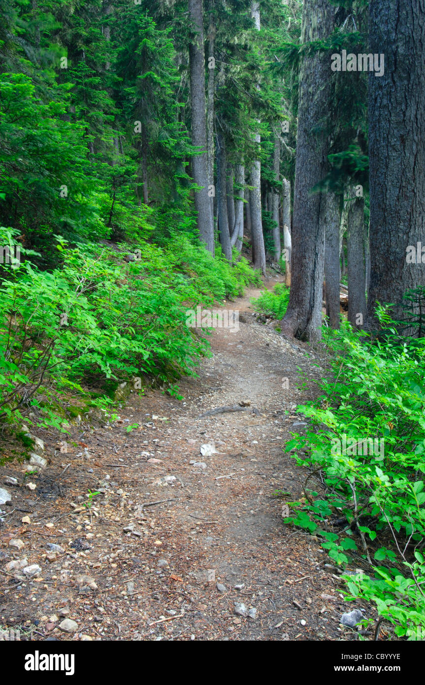Pacific Crest Trail près de Mirror Lake, mont Baker-Snoqualmie National Forest, North Carolina, USA Banque D'Images
