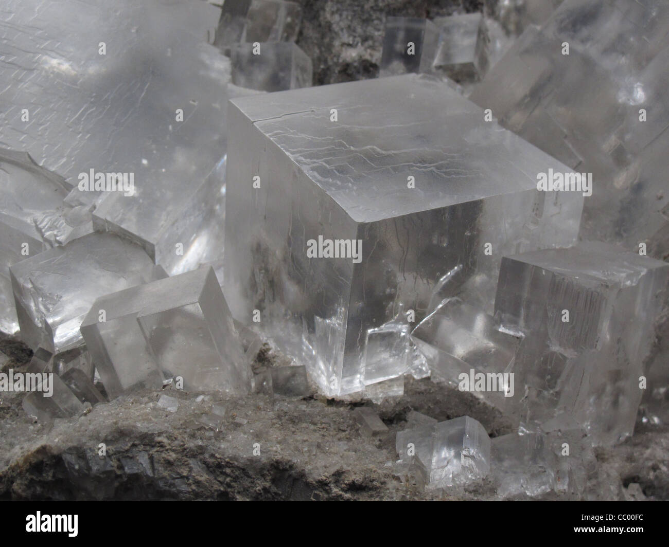 Cube en cristal de sel de roche a également appelé l'halite, un minéral sous forme de chlorure de sodium (NaCl). Banque D'Images