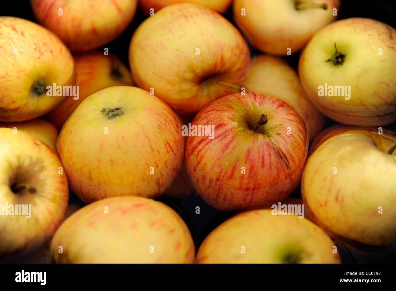 Pommes dans l’eau Banque D'Images