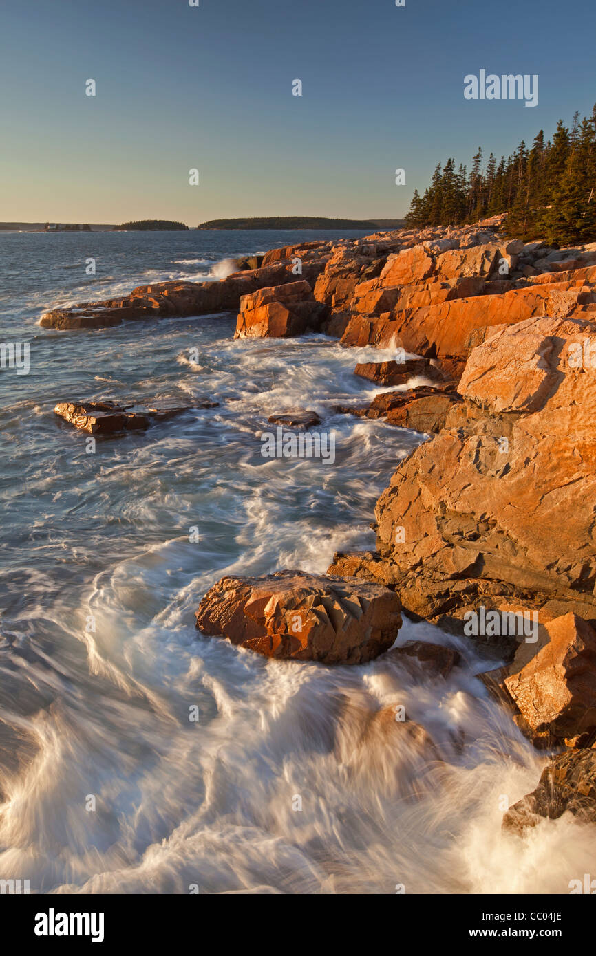 Les vagues déferlent sur le littoral le long d'Ocean Drive, Mount Desert Island, l'Acadia National Park, Maine, USA Banque D'Images