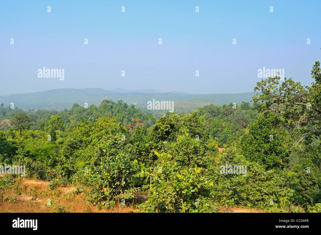 La forêt subtropicale en Inde à partir de la hauteur Banque D'Images