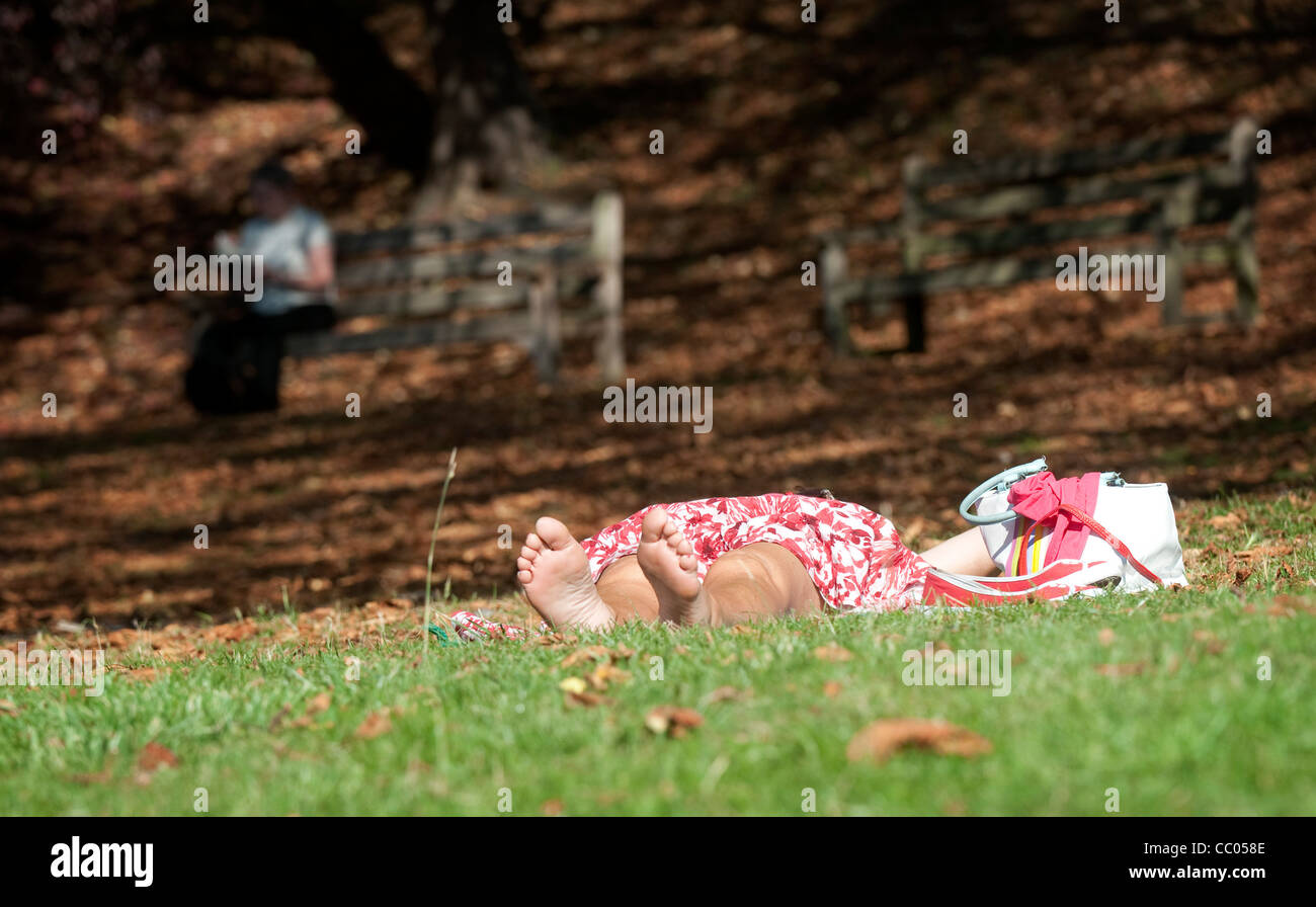 De soleil femme entre les feuilles en automne Banque D'Images