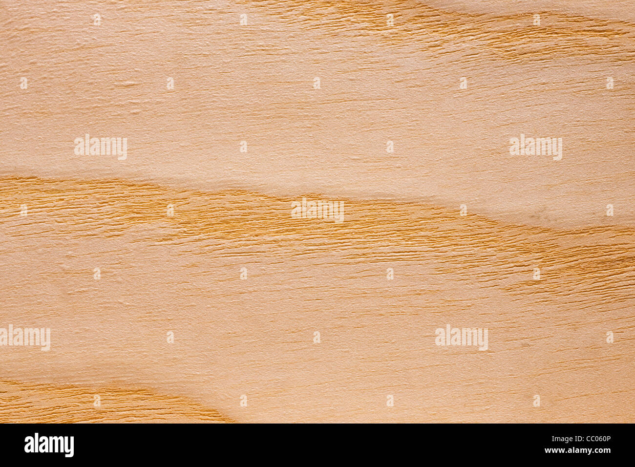 Grain du bois de frêne / frêne commun (Fraxinus excelsior), l'Europe Banque D'Images