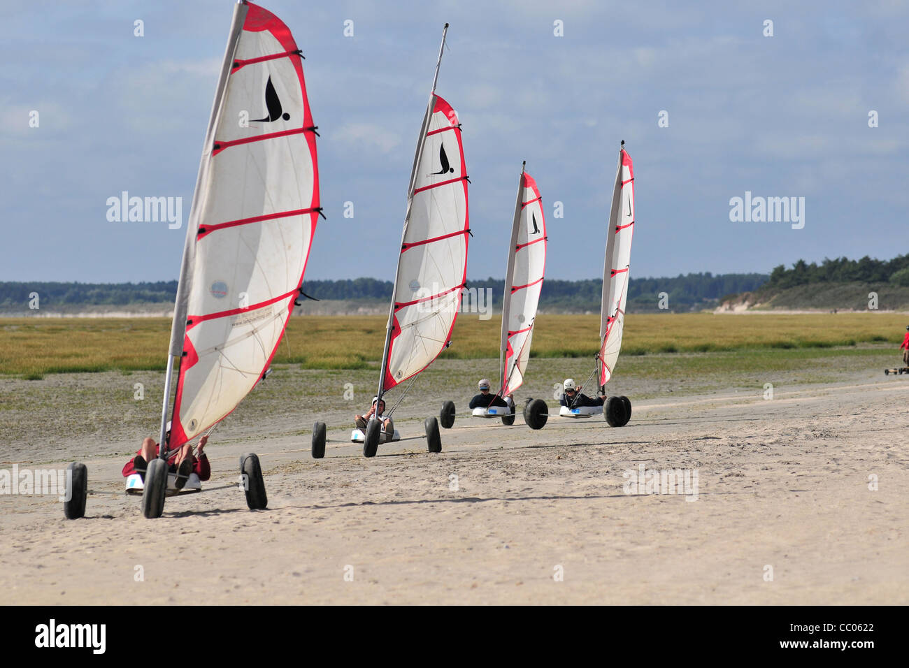 Char à VOILES SUR LA PLAGE, LE CROTOY, Baie de Somme, Somme (80