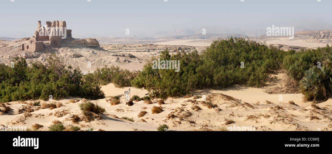Vue panoramique tourné il forteresse romaine et de règlement avec un âne en premier plan à Qasr el Labekha dans le désert près de Kharga Oasis Egypte Banque D'Images