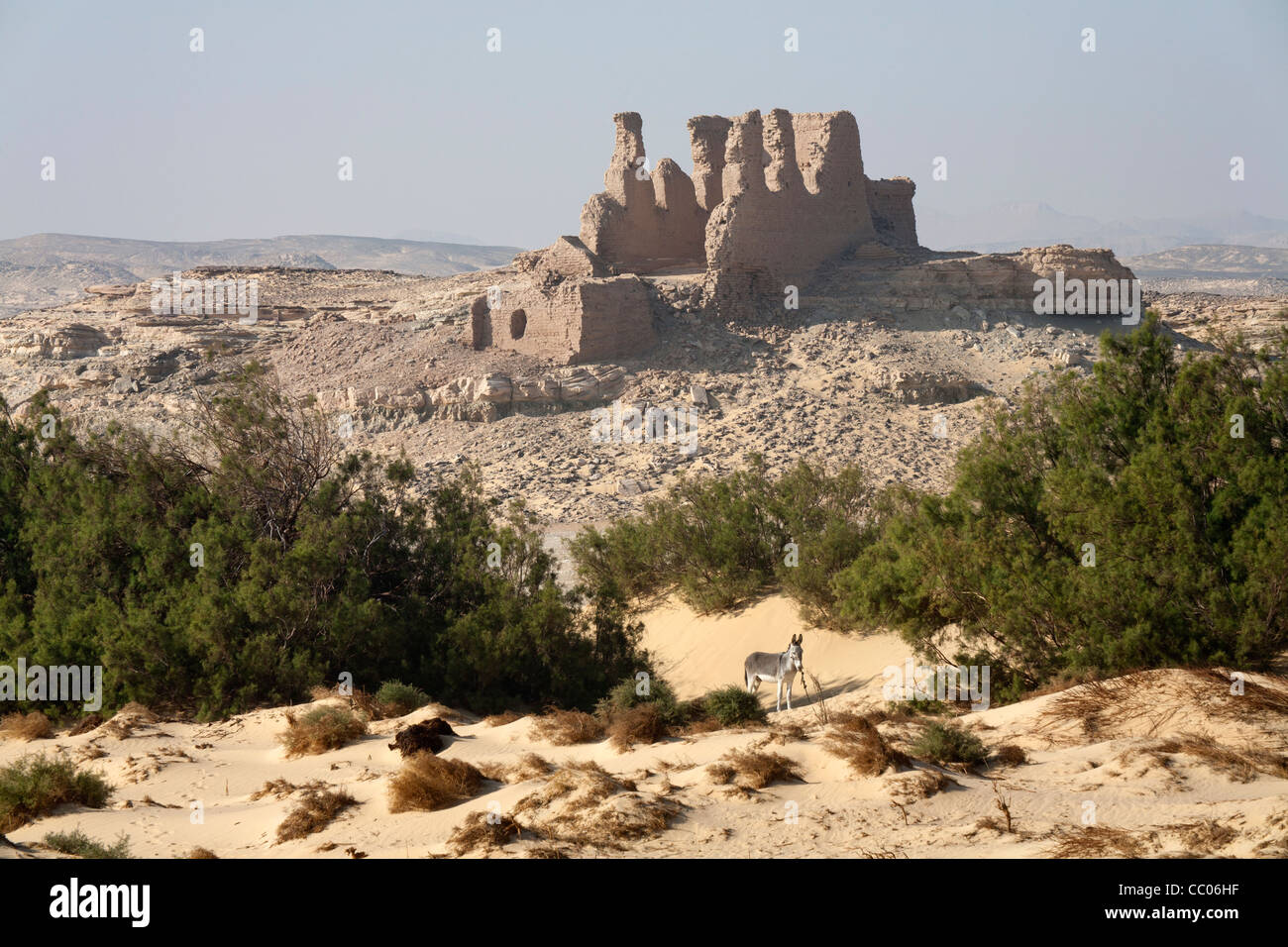 La forteresse romaine et de règlement avec un âne en premier plan à Qasr el Labekha dans le désert près de Kharga Oasis Egypte Banque D'Images