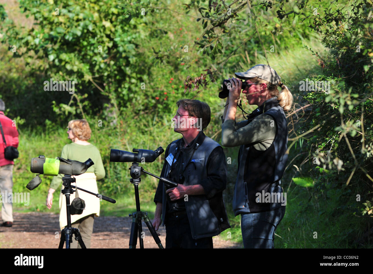 PHILIPPE CARUETTE, GUIDE DU PARC, À REGARDER ET À PHOTOGRAPHIER LES OISEAUX DANS LE PARC DU MARQUENTERRE, Baie de Somme, Somme (80), FRANCE Banque D'Images