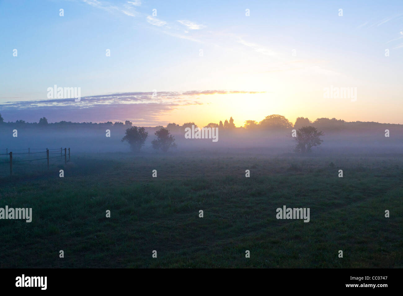 Brume matinale en campagne du Suffolk, UK Banque D'Images