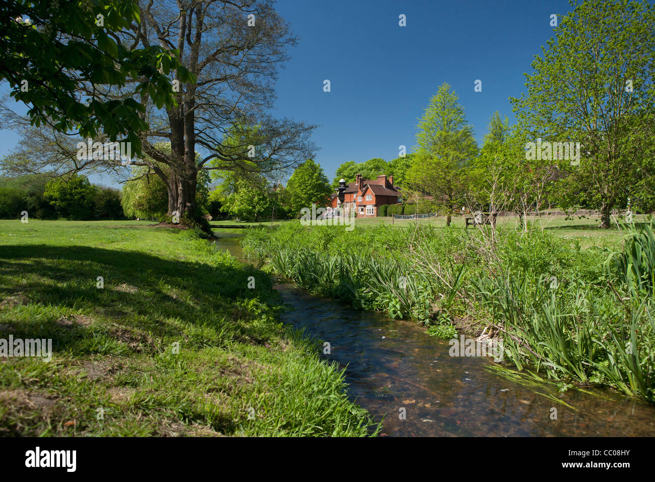 Abinger Hammer, le labourage de la rivière Bourne, Surrey Hills, North Downs, Surrey Banque D'Images