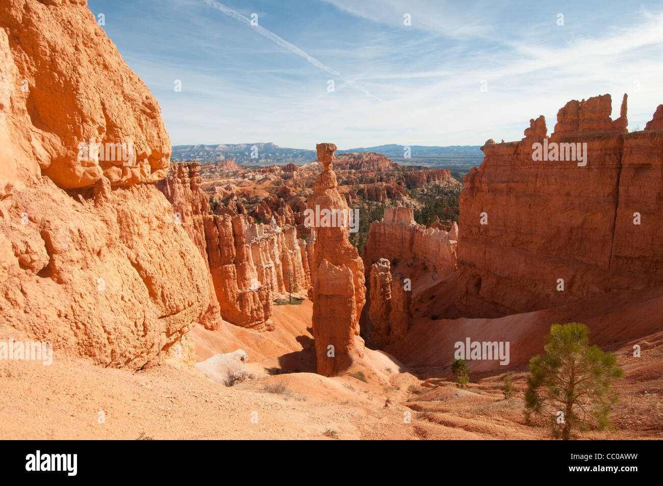 Cheminées de grès rouge du Parc National de Bryce Canyon Banque D'Images