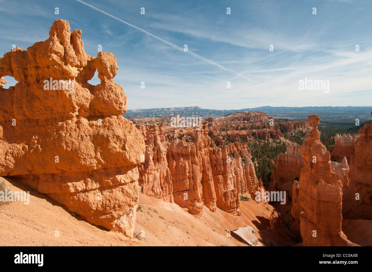 Cheminées de grès rouge du Parc National de Bryce Canyon Banque D'Images