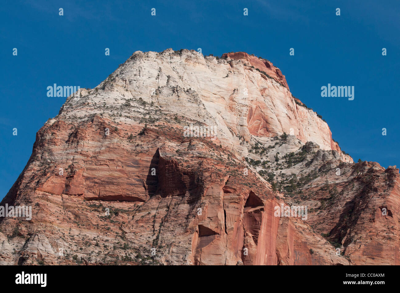 Falaises de grès de Zion National Park Utah Banque D'Images