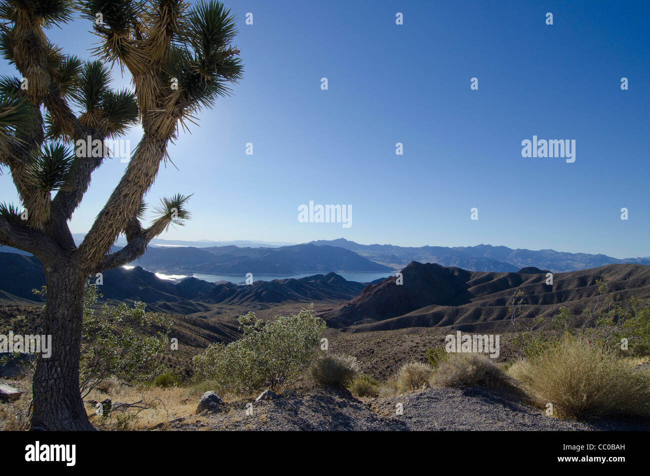 High Desert donnent sur le Lac Mead Arizona Banque D'Images