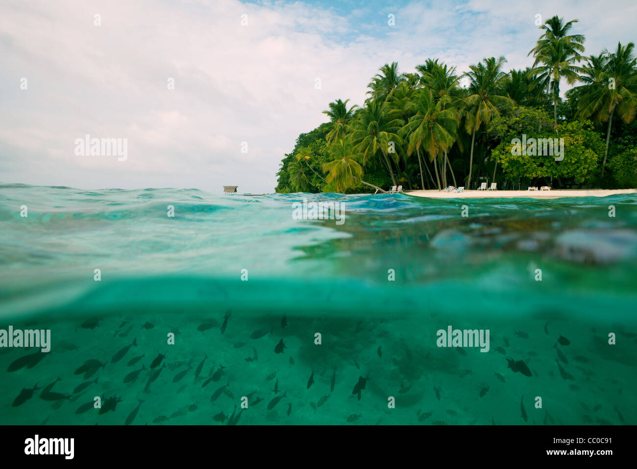 Tropical Island - les demi sous-vue mer avec lit double Banque D'Images