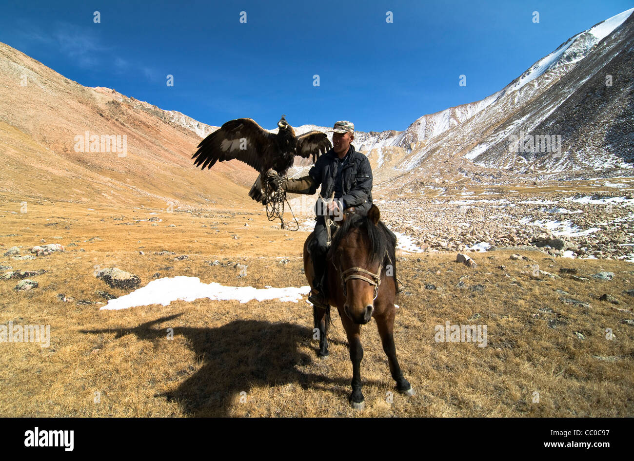 Un chasseur avec son aigle aigle dans la région de l'Altaï de Mongolie occidentale. Banque D'Images