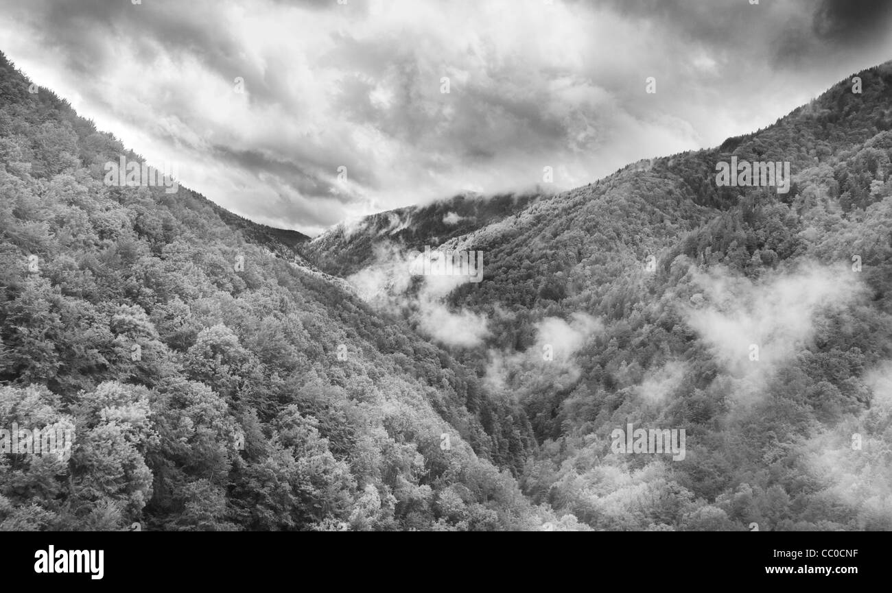Paysage noir et blanc de l'hélicoptère d'une vallée dans les montagnes Tarcu, Roumanie. Banque D'Images