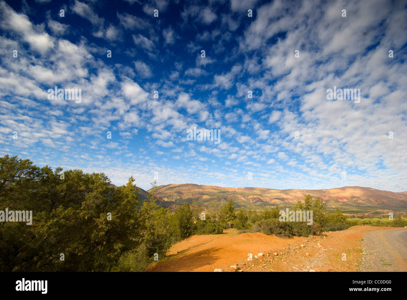 Vue panoramique de la partie inférieure de l'Atlas dans le sud du Maroc, l'Afrique du Nord Banque D'Images