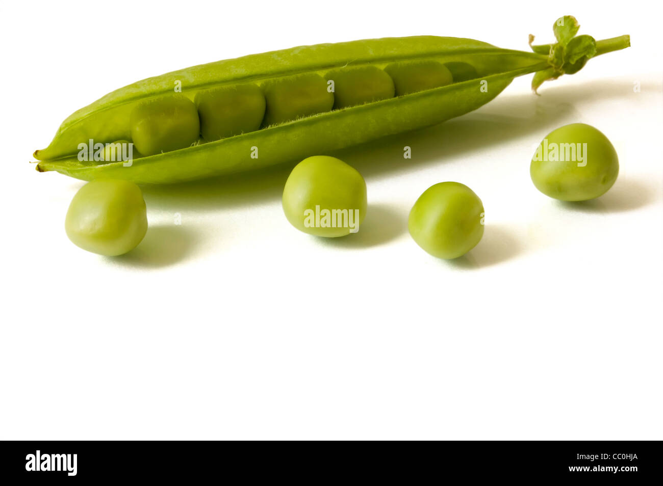 Close up of open pea pod sur fond blanc Banque D'Images