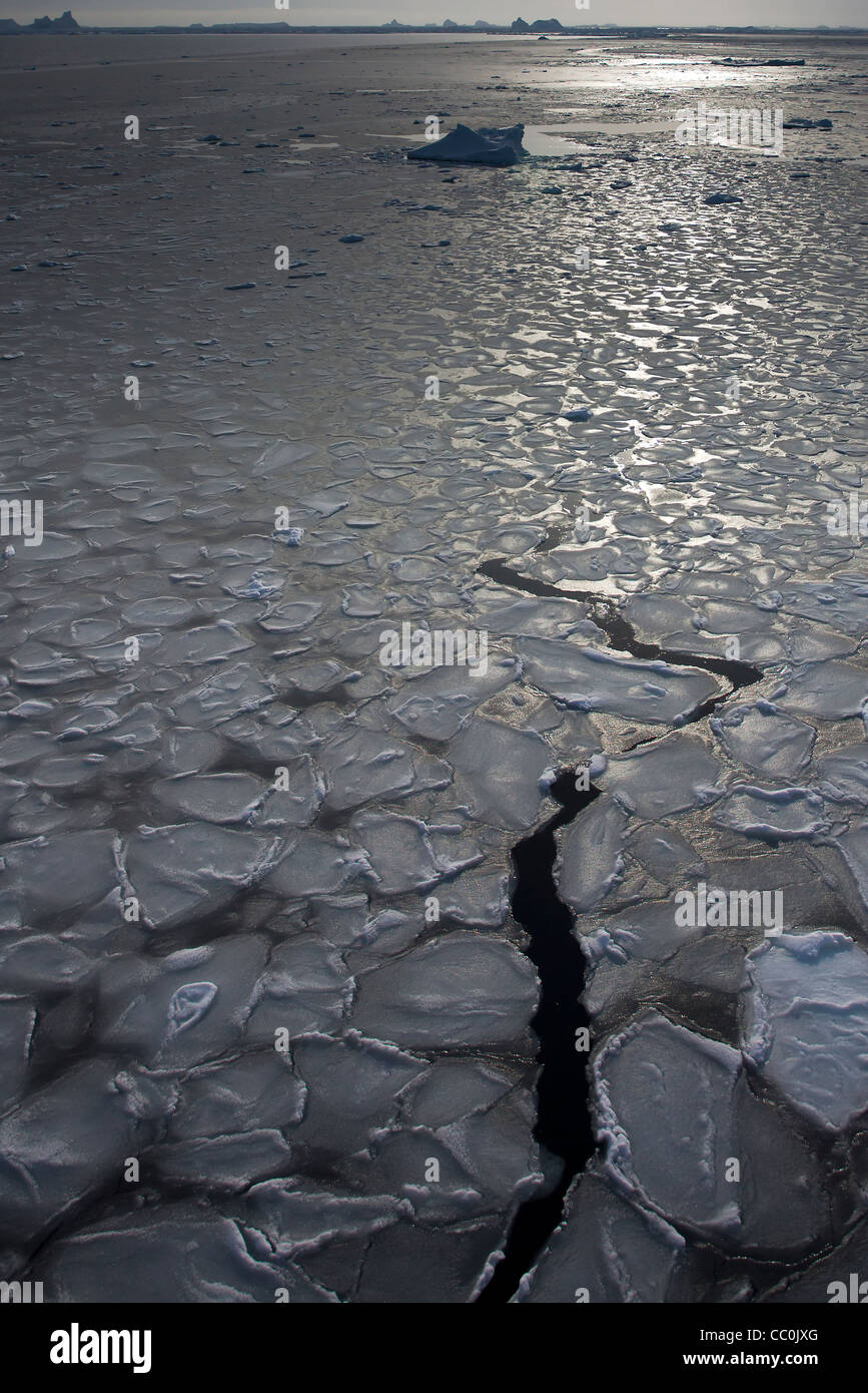 Pièces circulaires de l'Antarctique glace glace Crêpes Banque D'Images