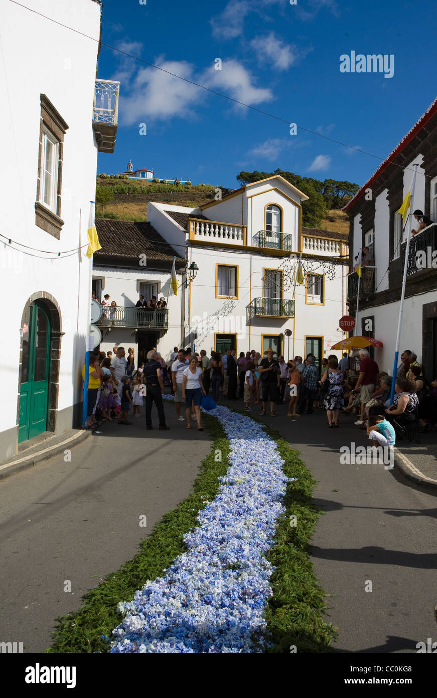 Tapis de fleurs et les pétales dans les rues sur l'île de Sao Miguel aux Açores Banque D'Images