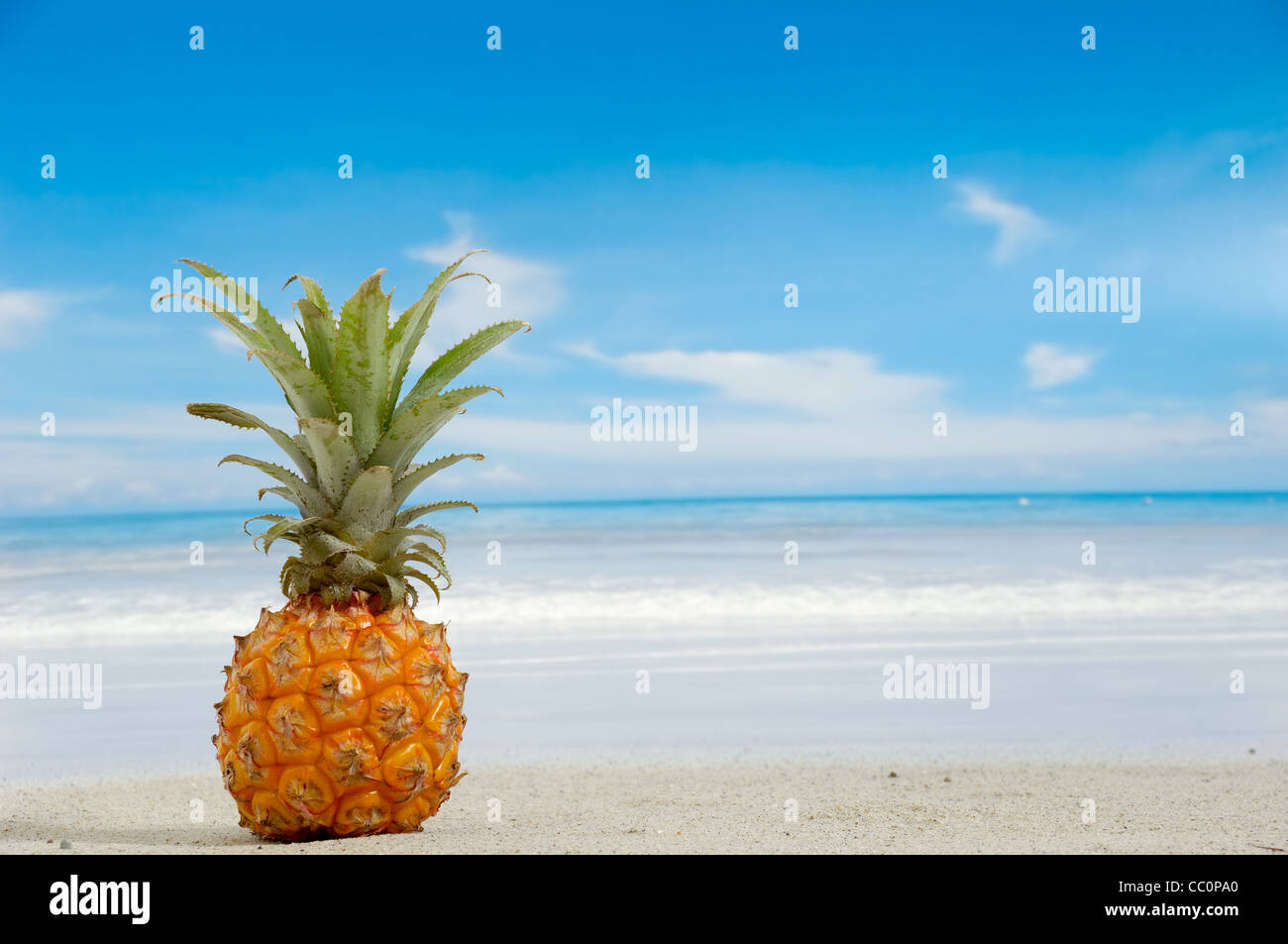 L'ananas sur une plage exotique avec bleu et ciel nuageux. Banque D'Images