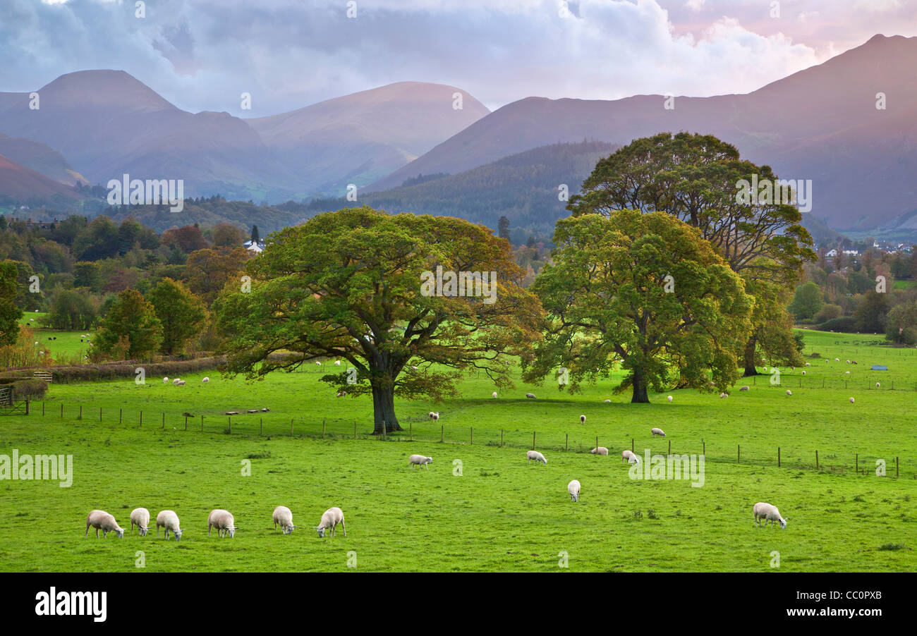 Vue sur les collines de Ormathwaite Derwent, Cumbria. Banque D'Images