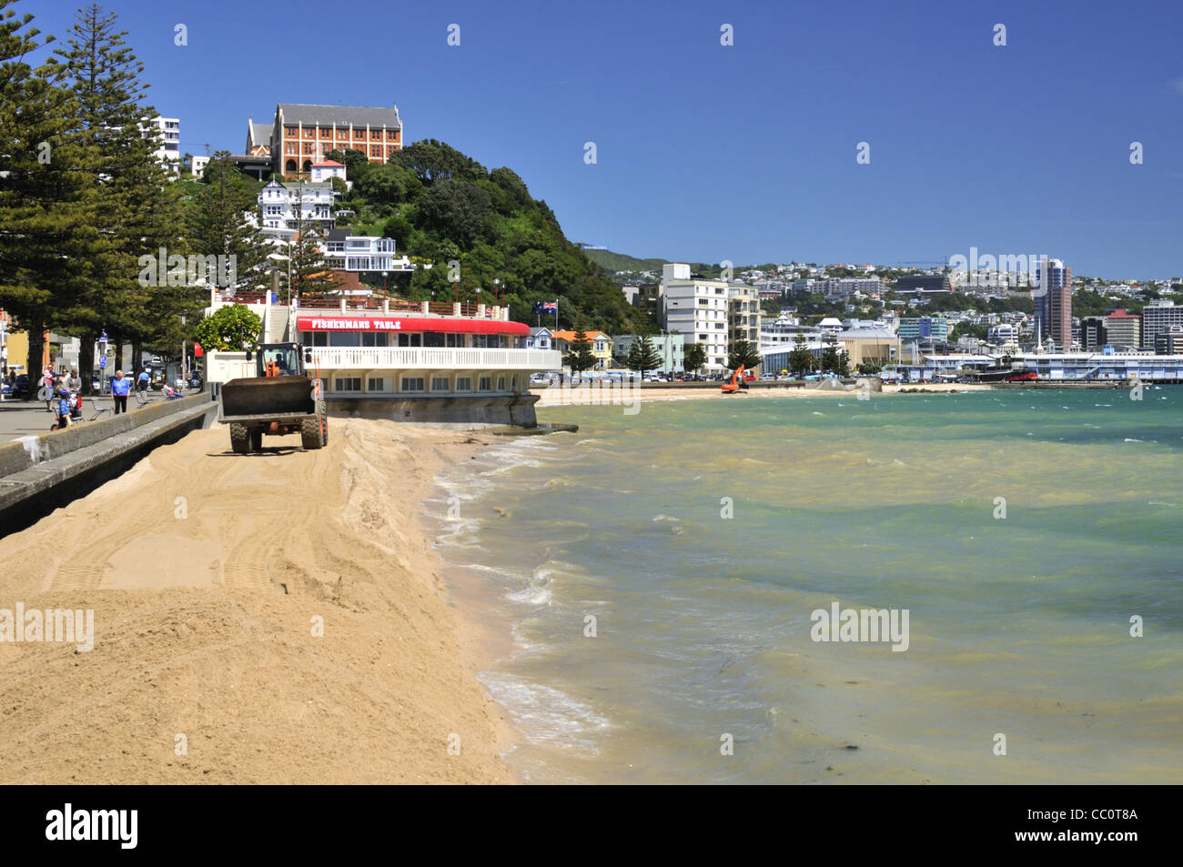 La régénération des plages à l'Oriental Bay Beach, Wellington, Nouvelle-Zélande. Banque D'Images