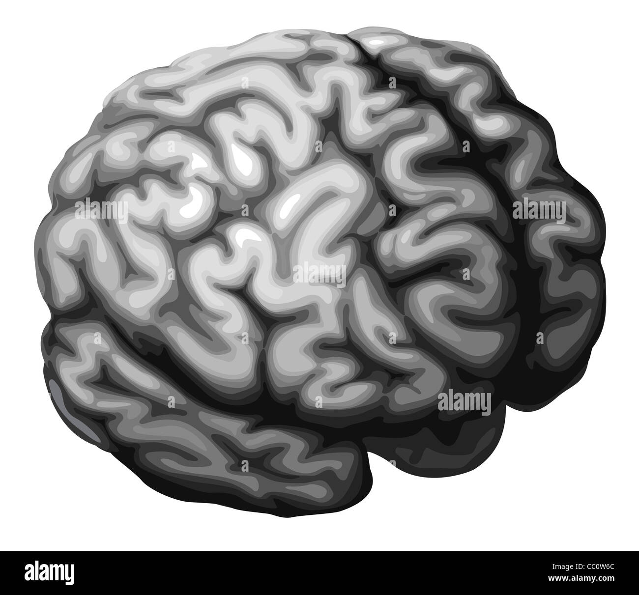 Illustration d'un cerveau monochrome dans des tons de gris Banque D'Images