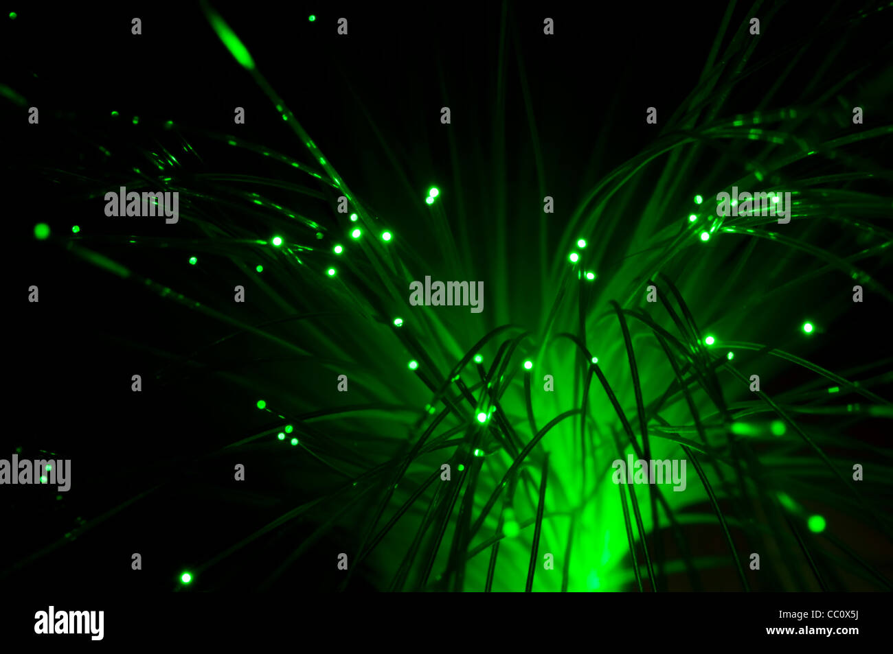 Les fibres optiques d'un câble à fibre optique. La technologie de l'Internet. Couleur vert Banque D'Images