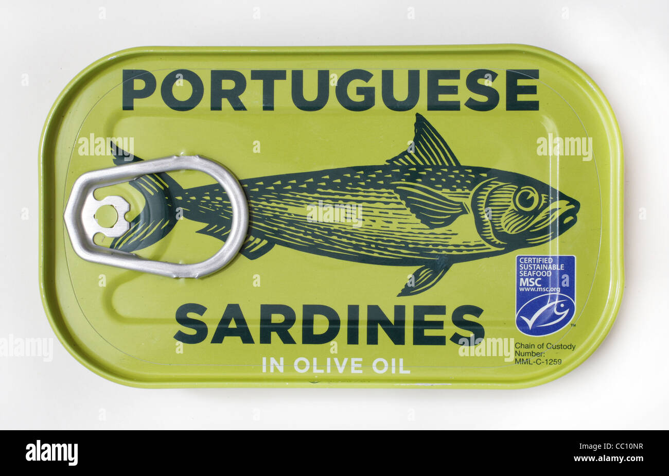 Une boîte de sardines à l'huile d'olive portugaise. Banque D'Images