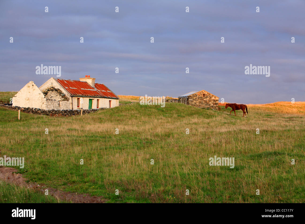 Cottage traditionnel irlandais et le cheval. Galway. L'Irlande Banque D'Images