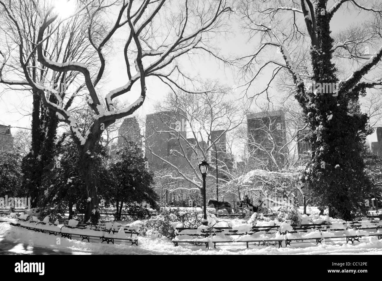 Hiver Neige dans Central Park, à Manhattan, New York City Banque D'Images