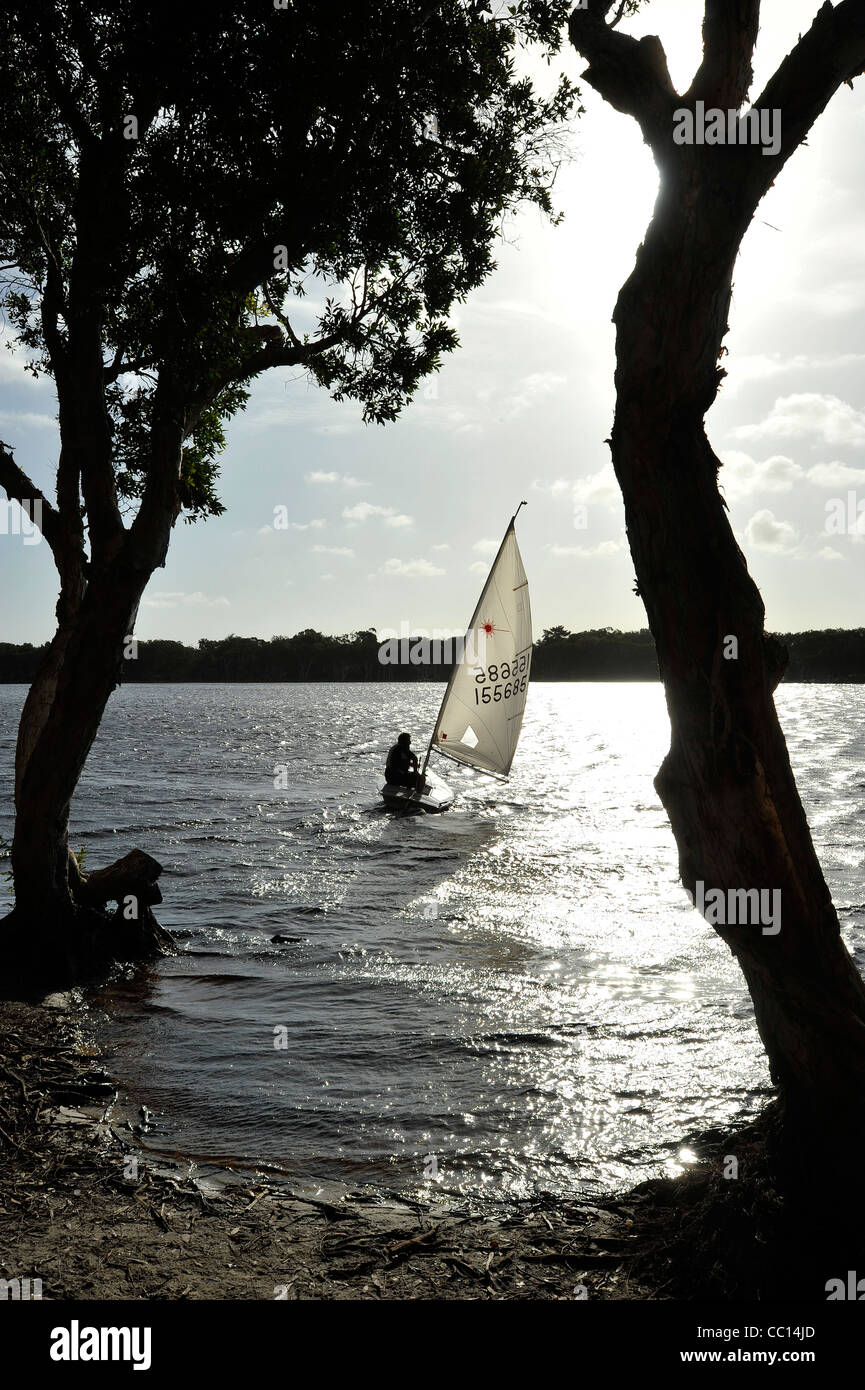 La Voile d'un laser sur le lac Ainsworth Lennox Heads Australie Banque D'Images