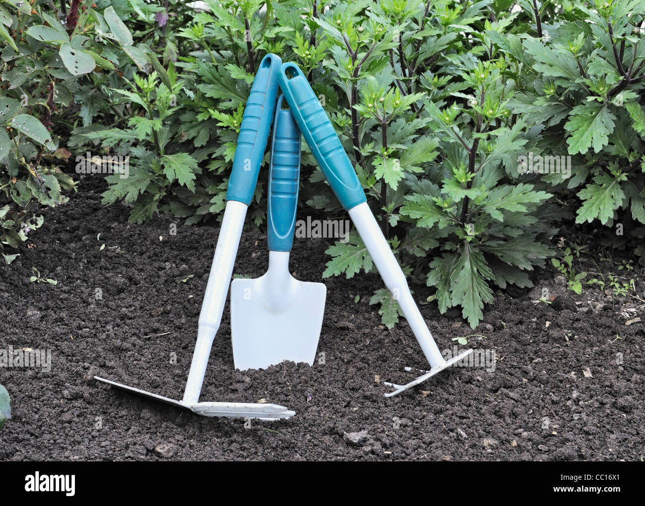 Outils de jardin Banque D'Images