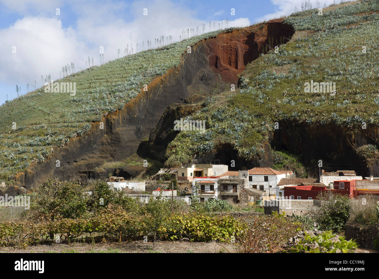 Extrait de la colline de La Montañeta, Las Portelas, Tenerife, avec plantations d'aloe vera sur le dessus. Banque D'Images