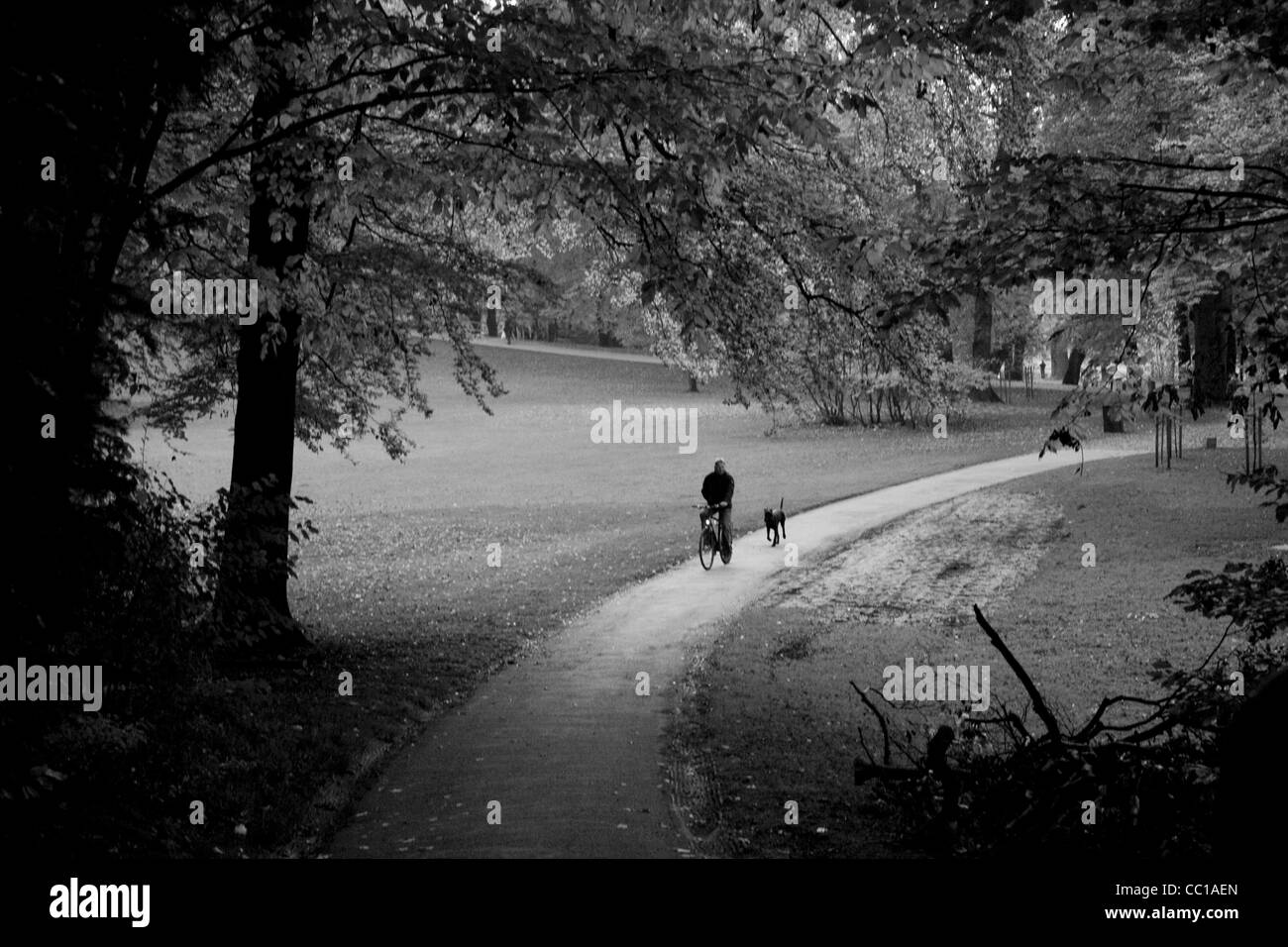 Photo en noir et blanc d'un homme monté sur sa bicyclette, son chien qui court à ses côtés, sur un chemin à travers un parc à l'automne. Banque D'Images