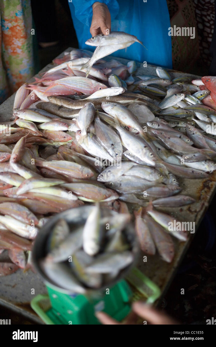 Une femme ramasse le poisson pour la vente des fruits de mer sur la vente au marché d'Hoi An, Vietnam Banque D'Images