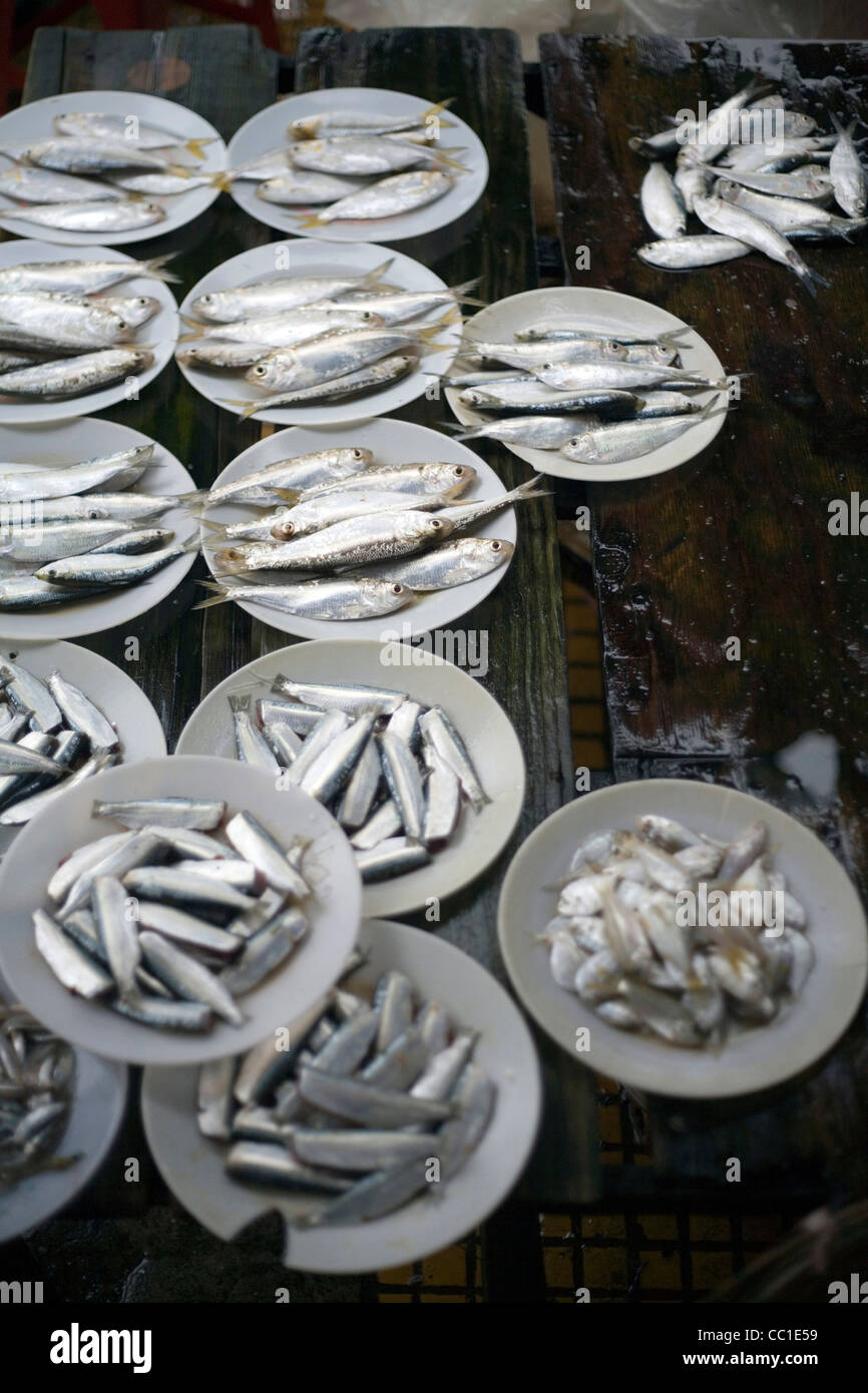 Poissons de plaques pour la vente au marché d'Hoi An, Vietnam Banque D'Images