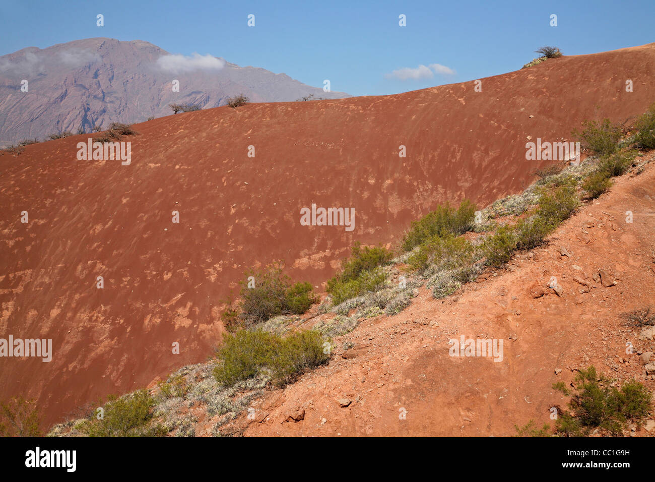 Paysage désertique de la Vallée du Río las Conchas dans la Quebrada de Cafayate, Province de Salta, Argentine Banque D'Images