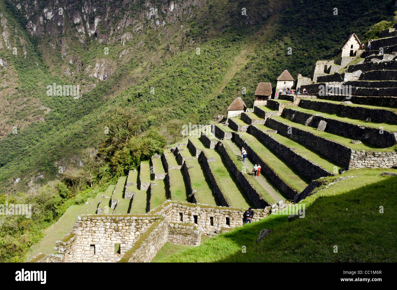 Les ruines inca terrasses à Machu Picchu, Pérou Banque D'Images
