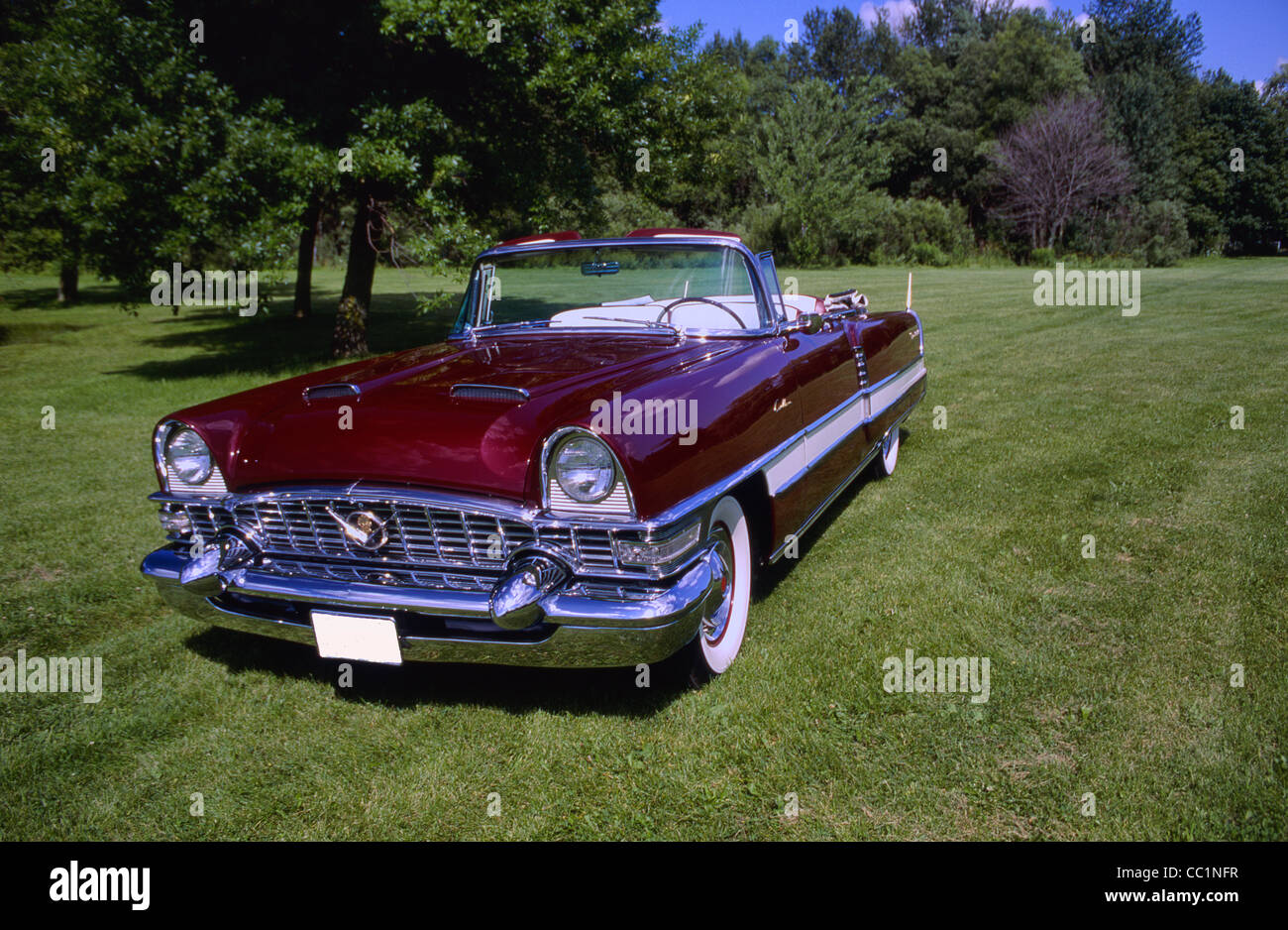 1955 Packard Caribbean Banque D'Images