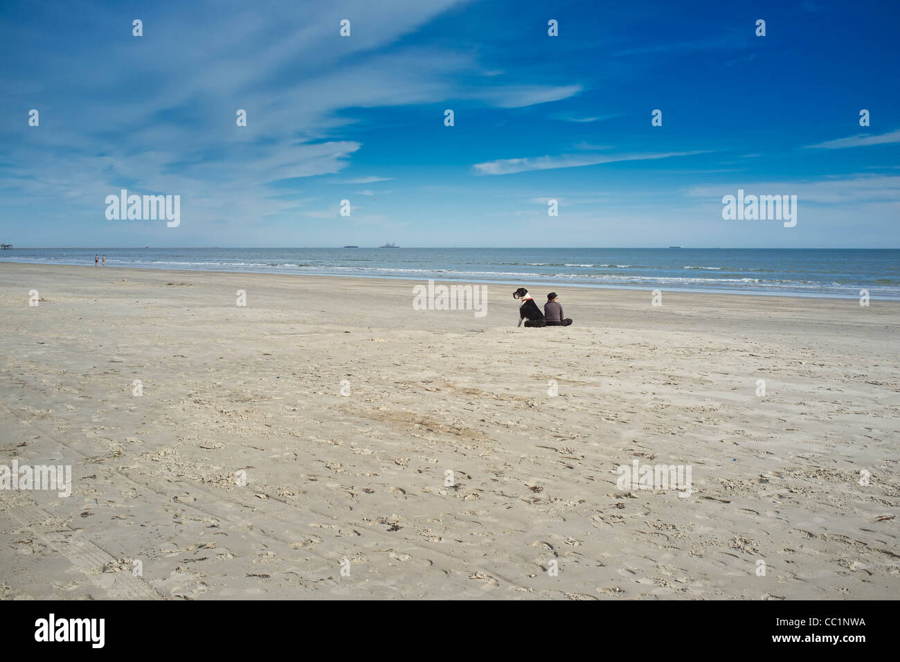Grand chien assis près d'une femme sur une plage Banque D'Images