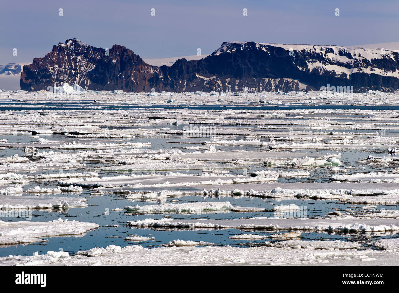 Banquise et d'icebergs, mer de Weddell, l'Antarctique Banque D'Images