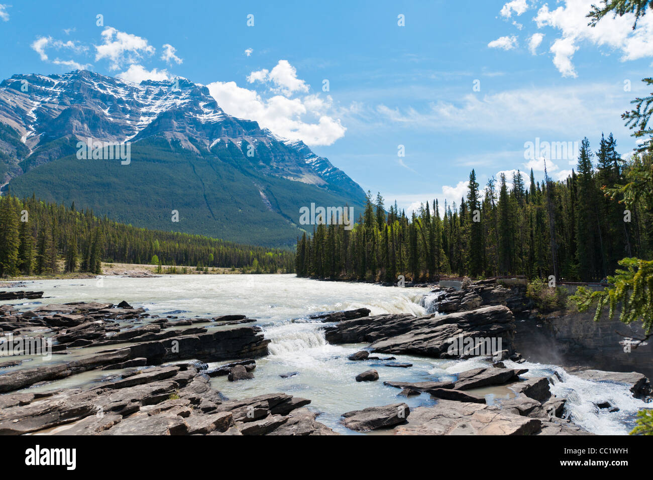 Les chutes Athabasca avec Mont Kerkeslin en arrière-plan. Le Parc National Jasper, Alberta, Canada. Banque D'Images