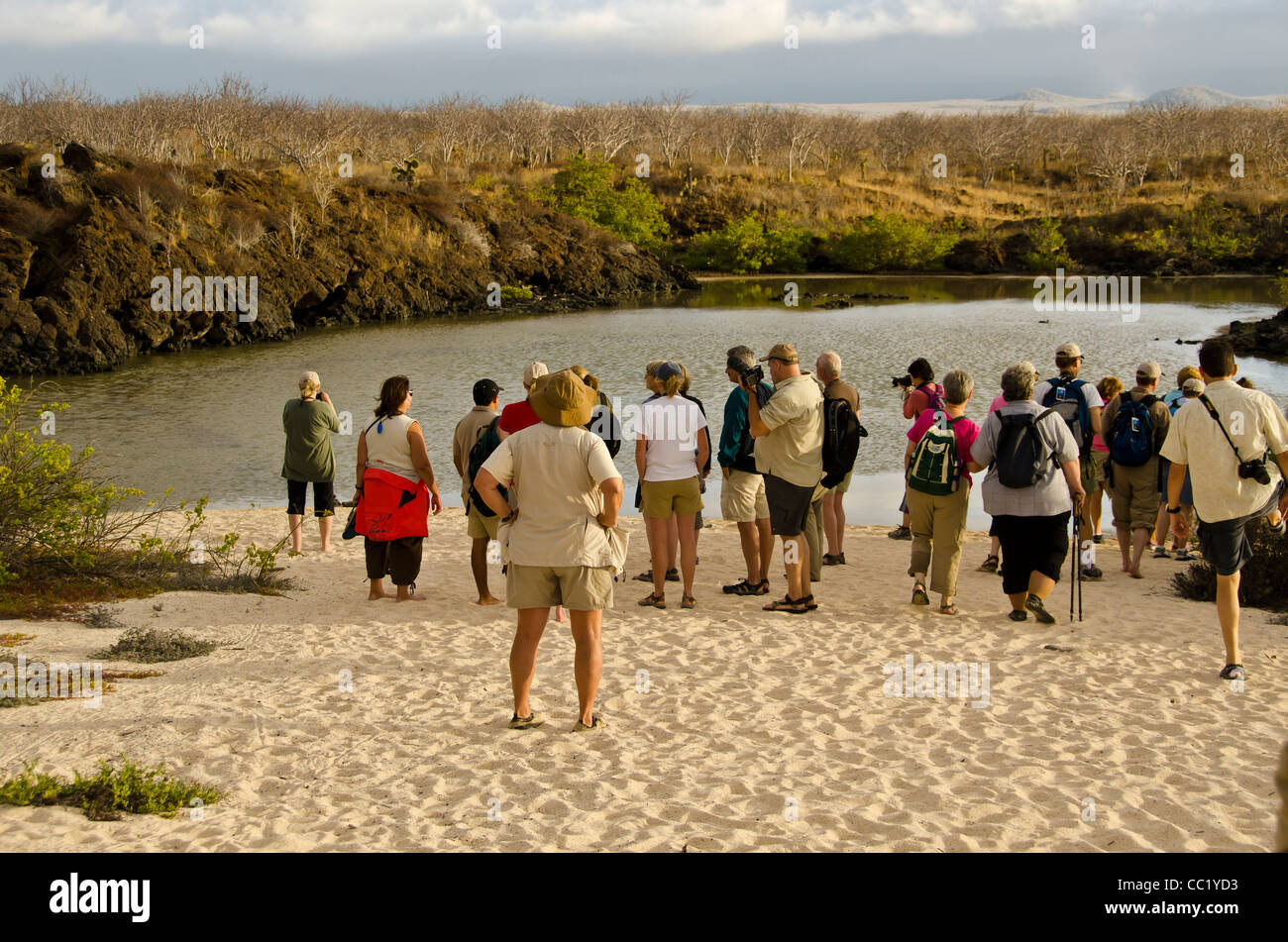 Les touristes au Flamingo pond côté de Las Bachas Beach, Santa Cruz Island, îles Galapagos, Equateur Banque D'Images